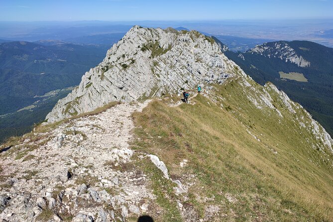 Hike the Highest Peak in Piatra Craiului Mountains (2238 M) - Booking and Cancellation Policies