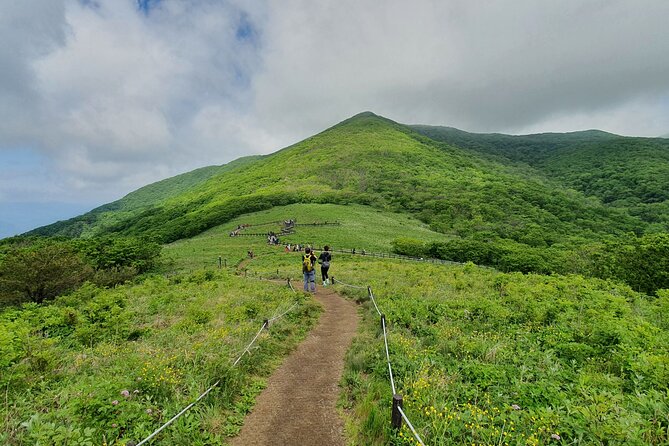 Hiking in Gombaeryeong Wildflowers of Seoraksan National Park - Frequently Asked Questions