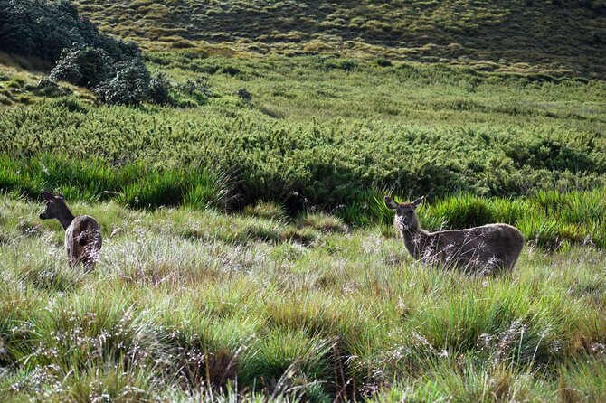 Hiking in Horton Plains National Park From Ella - Packing List for the Adventure