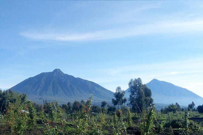 Hiking to Dian Fossey's Tomb in the Volcanoes National Park - Pricing and Booking