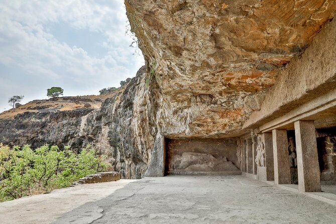 Historic Caves & Backwater of Kerala - Wildlife Encounters