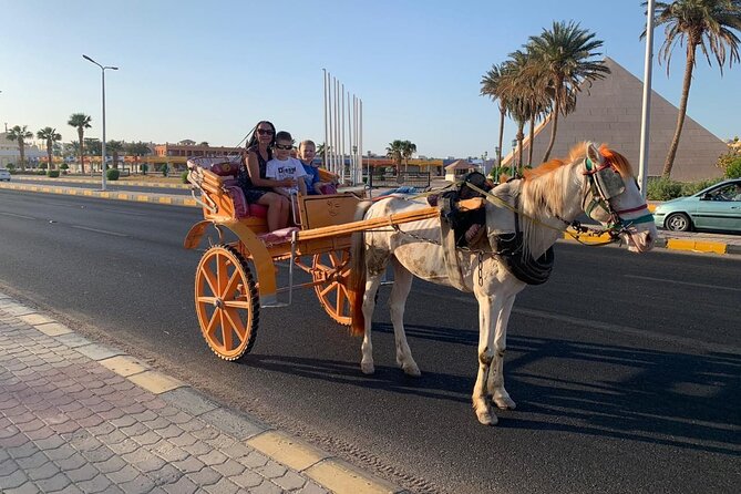 Horse Drawn Carriage 3 Hours With BBQ Dinner at the Desert, Transfer - Hurghada - Reservation Details