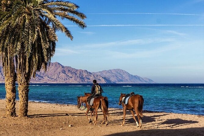 Horse Riding in Dahab - Booking Process
