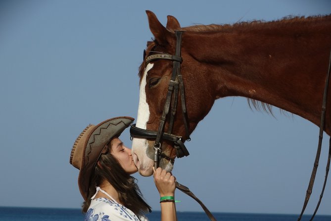 Horse Riding Two Hours at Amazing Desert With Transfer - Marsa Alam - Booking and Direction Instructions