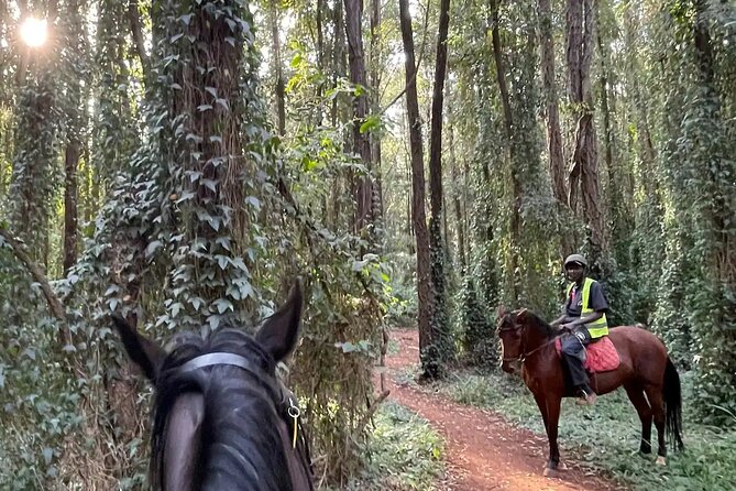 Horseback Experience at Karura Forest - Experience Highlights
