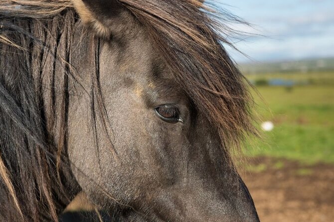 Horseback Riding at Arenal Volcano Foothills - Pricing and Inclusions