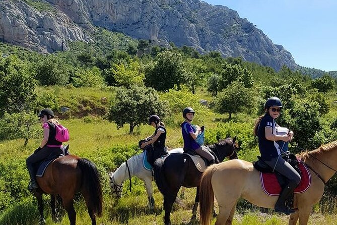 Horseback Riding in Sainte Victoire and Picnic With Wine Tasting - Group and Accessibility Information