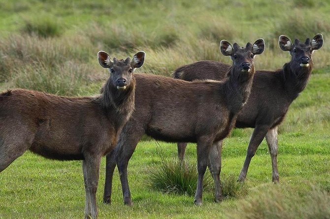 Horton Plains Nuwara Eliya Tour - Cancellation Policy