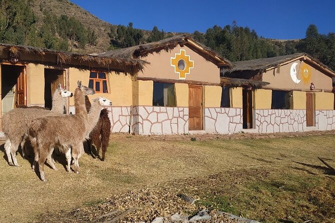 Huchuy Qosqo Trek and Machu Picchu 3 Days - The Sum Up