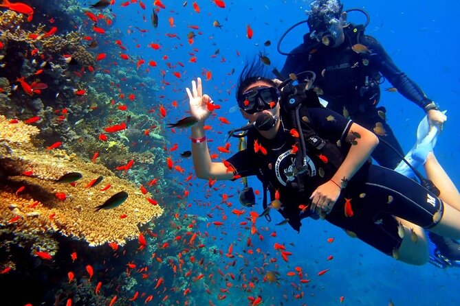 Hurghada Diving Excursion With 2 Stops for Beginners - Dive Site 1: Description and Experience