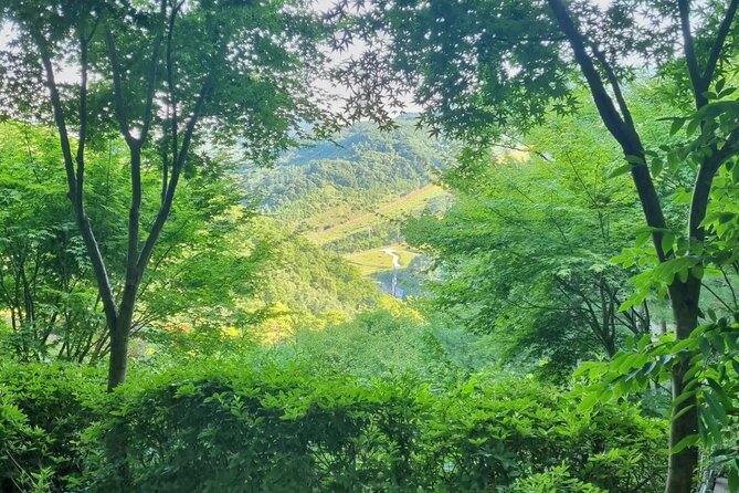Hwadam Botanic Garden and Namhansanseong and Folk Village Trip - Inclusions and Exclusions