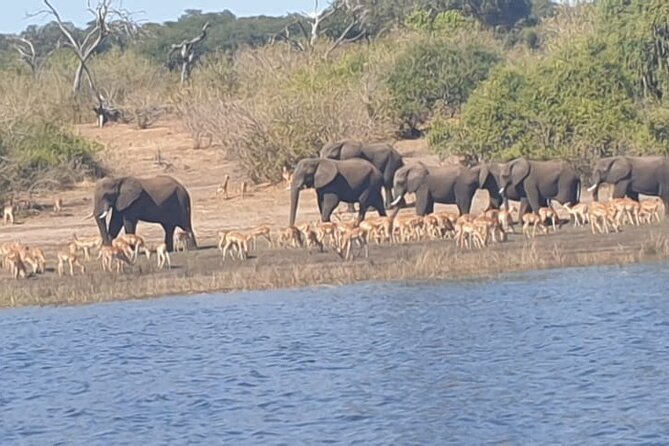 Hwange Safari Day Trip From Victoria Falls - Booking Confirmation