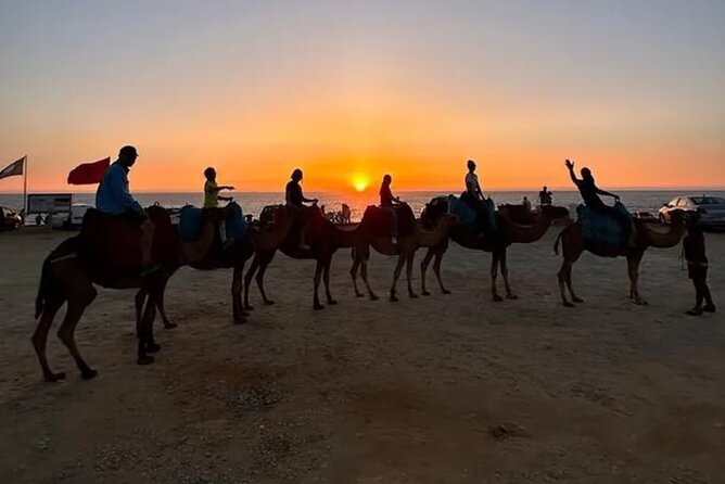 Inclusive Beach Camel Ride, Cap Spartel, Hercules & Full Dinner - Booking Details