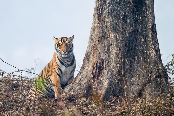 India Wildlife Photography Tour - Group Size Variations and Policies