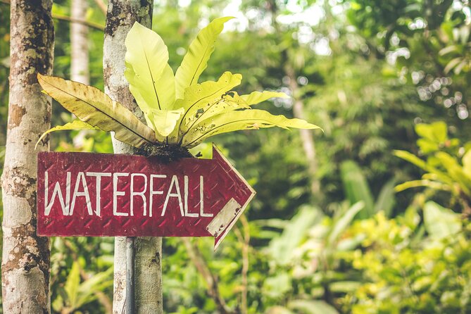 Instagram Tour in Bali: The Most Iconic Spots. Part 2 - Photo Opportunities