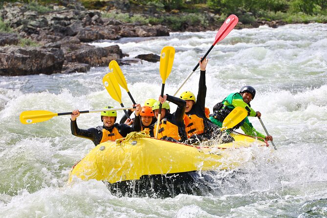 Intermediate Difficulty Level Rafting Experience in Dagali - Booking Process