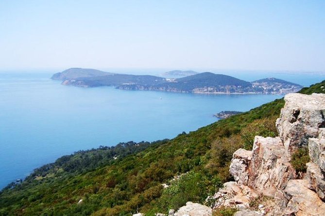Istanbul Relaxing Princes Islands Tour - Small Group - Cancellation Policy