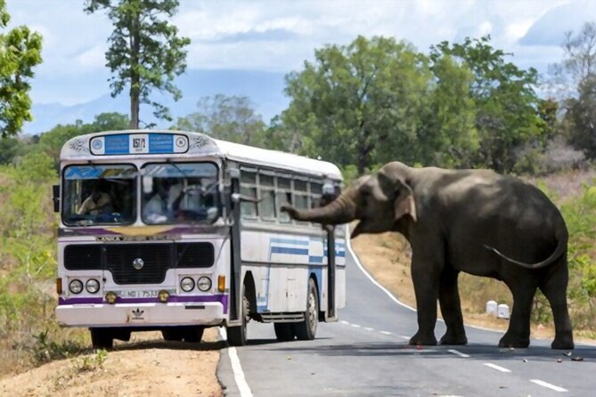 Jaffna Peninsula Four Day Trail - Transportation Logistics