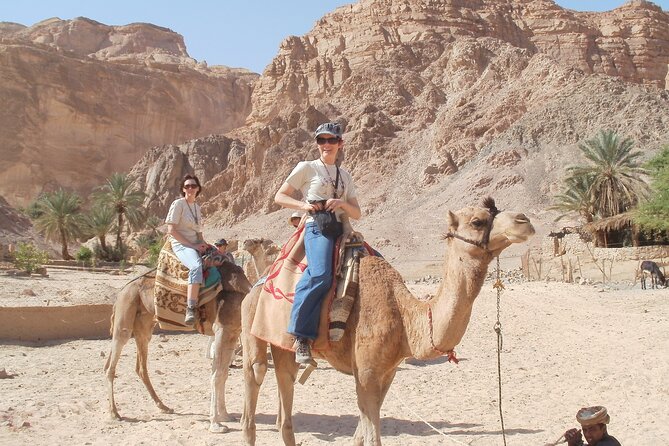 Jeep and Camel Safari 2 Days and 1 Night From Dahab - Additional Information