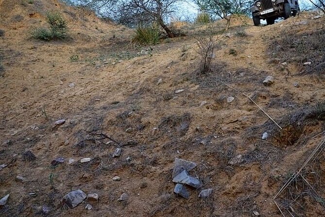 Jeep Safari to Kanota Lake From Jaipur - Pickup Schedule