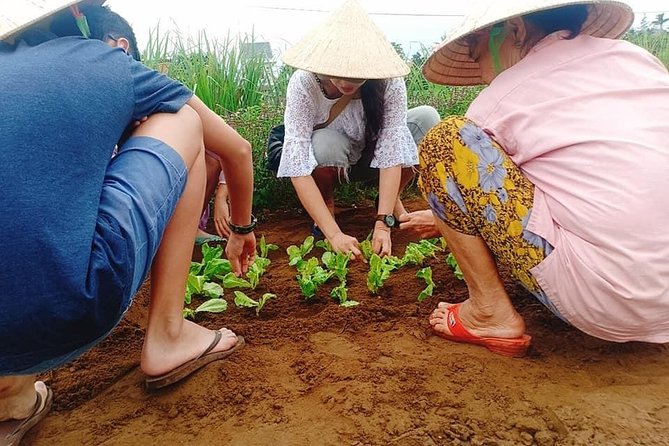 Jeep Tour to Hoi an Countryside With 3 Local Villages & Basket Boat Ride - Operator Information