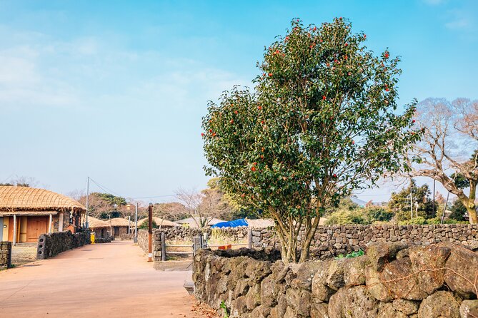 Jeju Eastern Must Visit Unesco Bus Tour - Reservation and Cancellation Policy