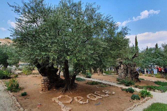 Jerusalem Revealed: Full-Day Exploration of the Old and New City - Pricing and Booking