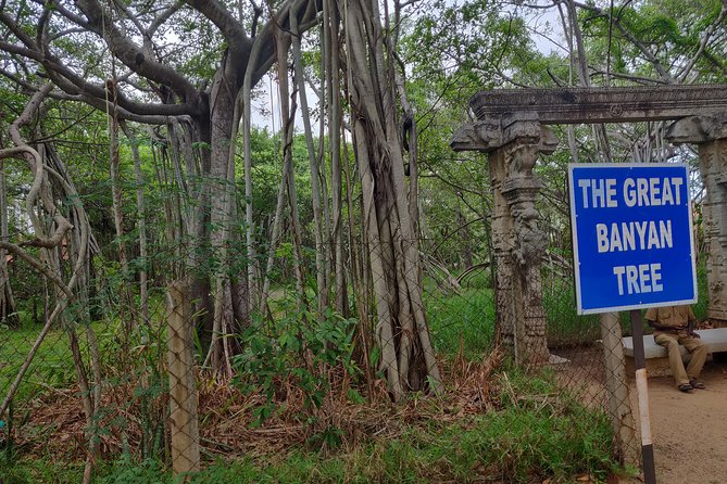 Kalakshetra,Theosophical Society & Elliots Beach Trail by Wonder Tours - Cancellation Policy Information