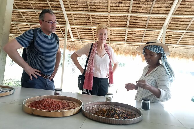Kampot/Cambodia Pepper Farm Tour - What to Expect