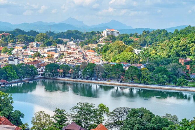 Kandy City Tour From Dambulla - Tour Price