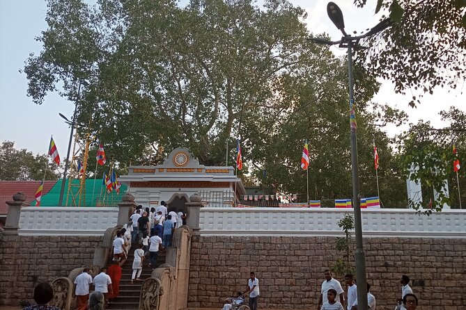 Kandy to Anuradhapura Tour - Booking Information