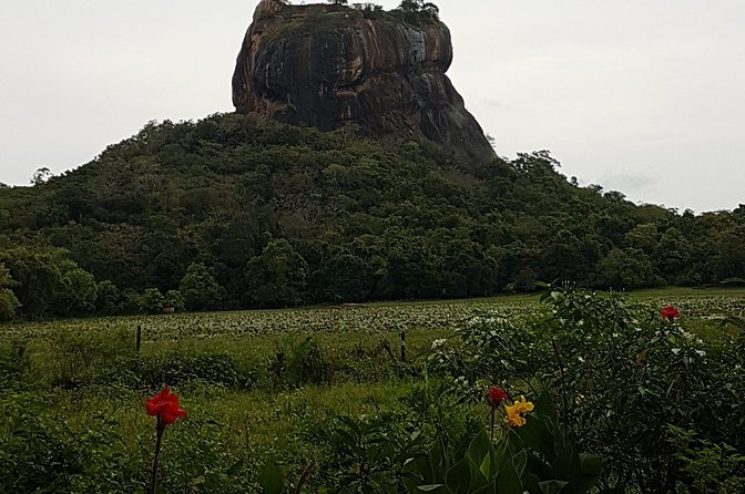 Kandy to Dambulla and Sigiriya Drop off or Return Trip - The Sum Up