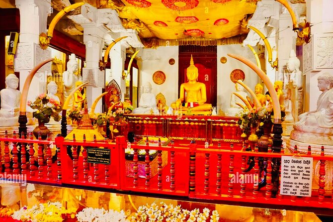Kandy Transfer Visiting Dambulla Cave Temple and Herbal Garden - Frequently Asked Questions
