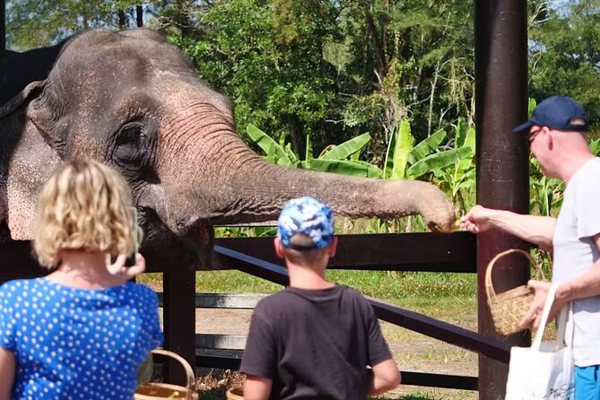 Khao Lak Highlights Tour With Buddhist Temple Blessing - Booking Information