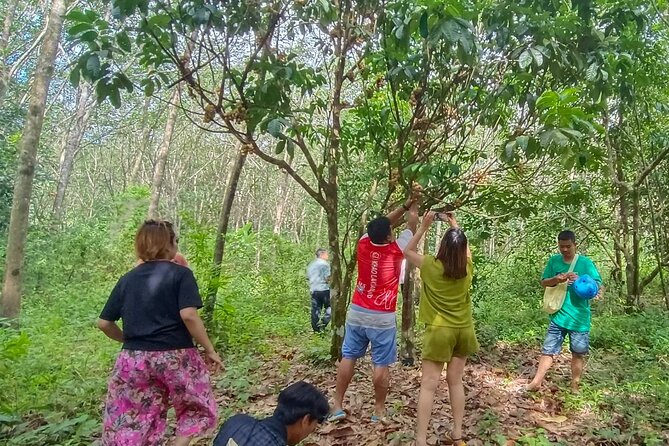 Khaolak Elephant Sanctuary Tour With ATV Bike With Lunch - Booking Information and Price