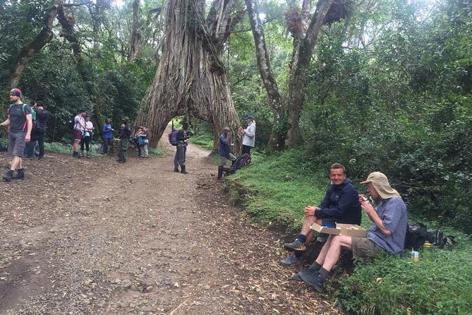 Kilimanjaro Climbing Tours via Northern Circuit- 10 Days - Equipment and Support Crew