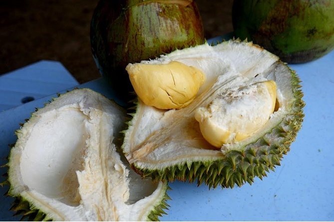 King of Tropical Fruits - Durian Tasting Tour From Kuala Lumpur - Additional Information
