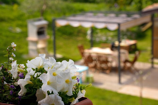 Kirkaia Home Dinner: Garden of Authentic Tastes - Frequently Asked Questions
