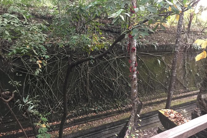 Koh Ker and Beng Mealea Full Day Exploration by Jion-In Tour - What to Bring