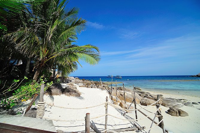 Koh Tao and Koh Nangyuan Premium Trip By Speedboat From Koh Samui - Tips for a Memorable Experience