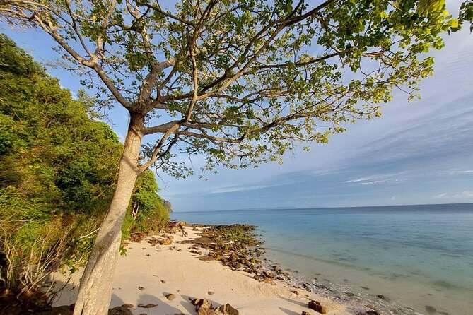 Krabi 7 Islands Sunset Tour With Bioluminescent Plankton + BBQ - Pricing Information