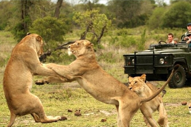 Kruger National Park 3 Day Private Safari From Johannesburg - Pickup Information and Logistics