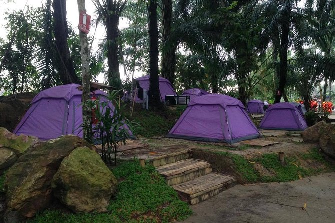 Kuala Lumpur Airport Transit Tour to Tadom Hill Resort (Unwind, Swim & Relax) - What To Expect