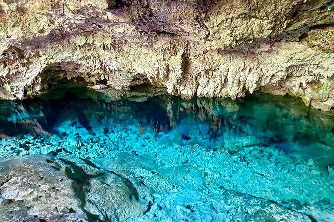 Kuza Cave Tour, The Rock Restaurant, Jozani Forest, Stone Town, Secret Garden - Booking Details