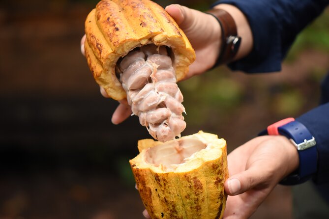 La Fortuna Waterfall And Chocolate Tour - Transportation Information