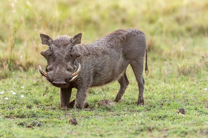Lake Eyasi and Ngorongoro Crater Tour From Arusha - Booking and Cancellation Policy