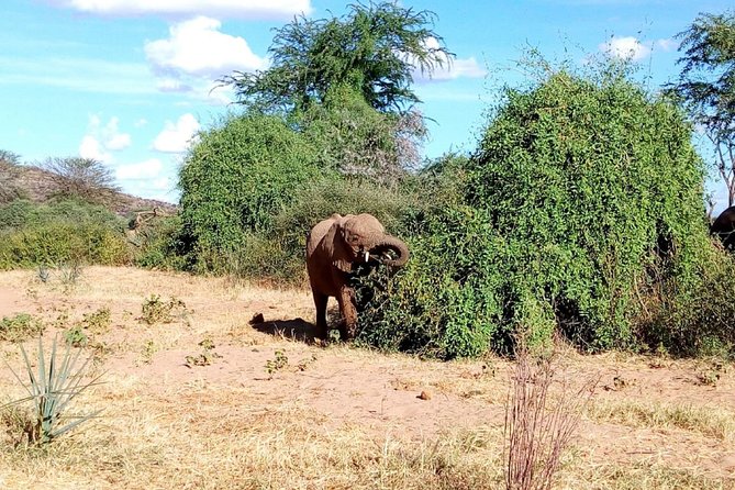 Lake Manyara National Park Day Tour - Cancellation Policy