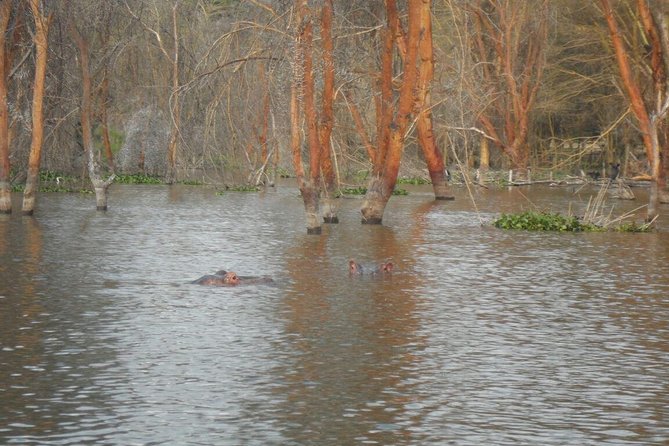 Lake Nakuru/ Naivasha Boat Ride Riftvalley Day Trip - Important Guidelines for Travelers