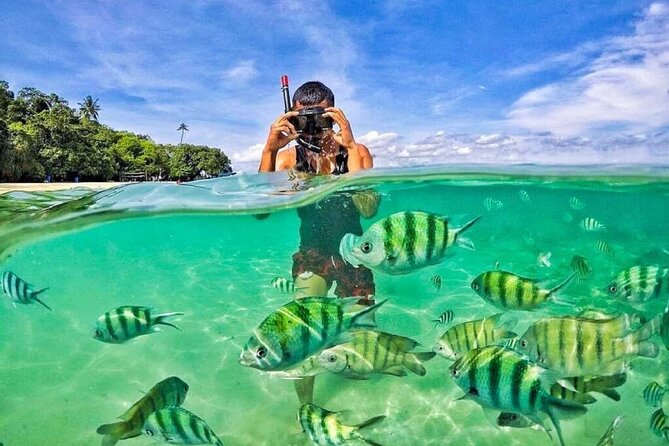 5 Best Snorkeling Experiences In Langkawi