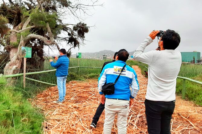 Last Little Wildlife Refuge in Lima - How to Support and Donate